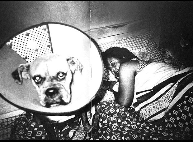 Black and white photo of a woman laying in bed with a dog wearing a big cone.